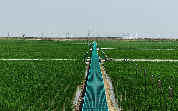 步進(jìn)電機(jī)在吸塵器上的應(yīng)用